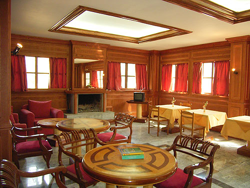 fire place room and library